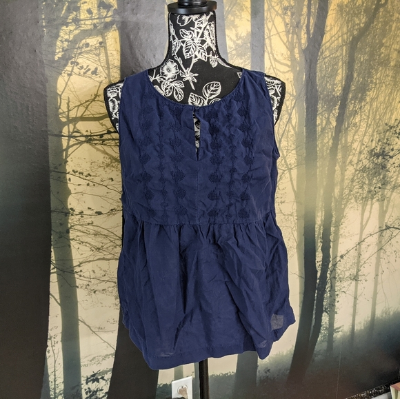 GAP Tops - GAP Embroidered Sleeveless Blouse